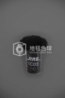 ARS 1C03