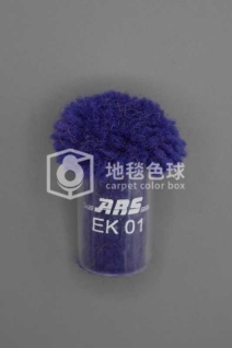 ARS EK01