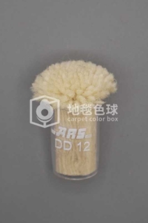 ARS DD12