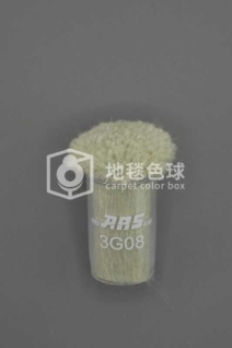 ARS 3G08
