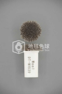 DT N1539