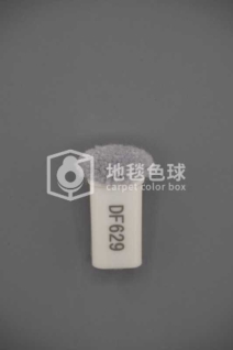 DF629