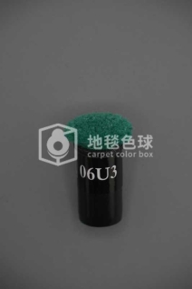 06U3