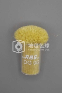 ARS DG06