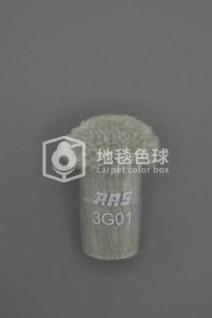 ARS 3G01