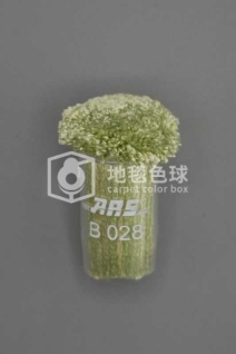 ARS B028