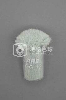 ARS CG12