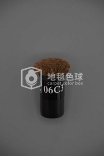06C3
