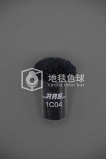 ARS 1C04