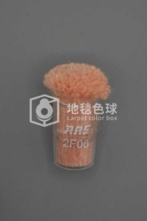 ARS 2F06
