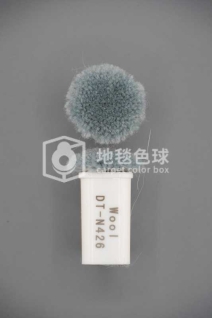 DT N426