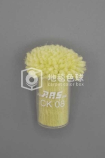 ARS CK08