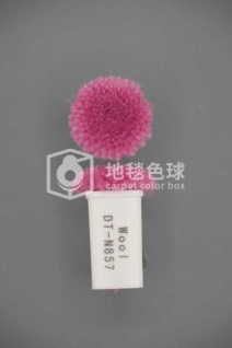 DT N857