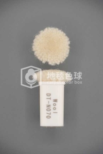 DT N070