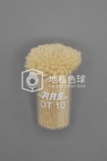 ARS DT10