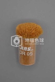 ARS DR05