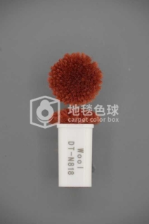 DT N818