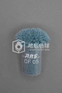 ARS CF05