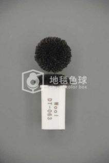 DT 063