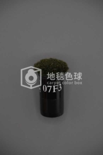 07F3