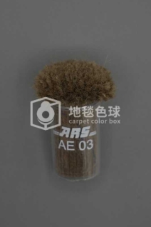 ARS AE03