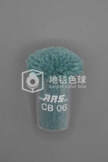 ARS CB06