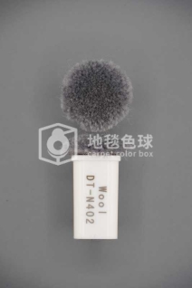 DT N402