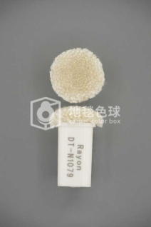 DT N1079