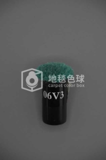 06V3