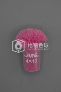 ARS 4A16