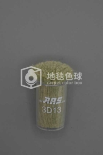 ARS 3D13