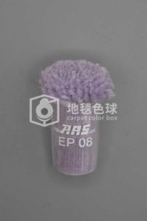 ARS EP08