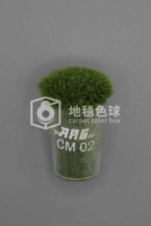 ARS CM02