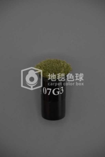 07G3