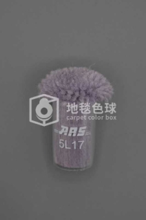 ARS 5L17