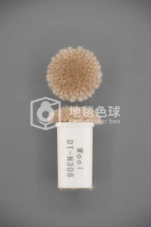DT N308
