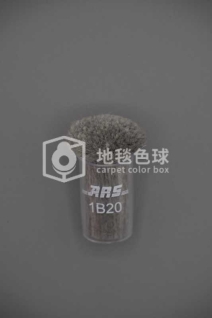 ARS 1B20