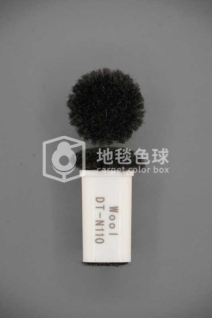 DT N110