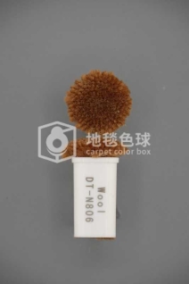 DT N806