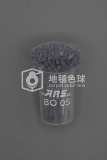 ARS BO05