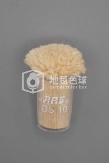 ARS DS10