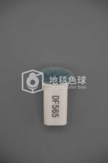 DF565