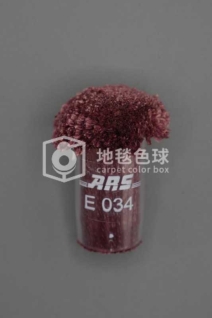 ARS E034