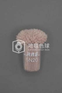 ARS 5N20