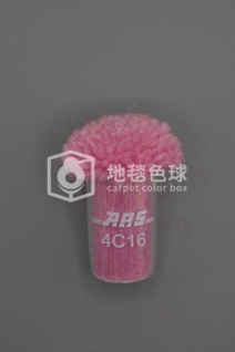 ARS 4C16