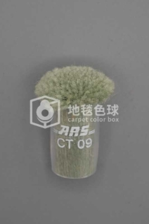 ARS CT09