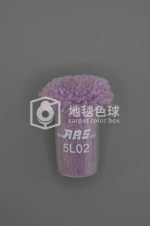 ARS 5L02