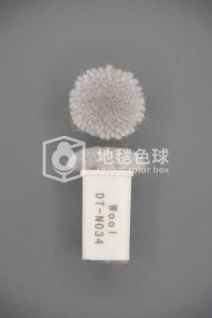 DT N034