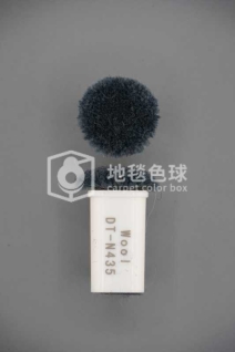 DT N435