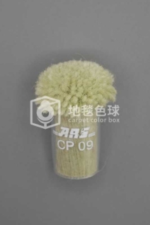 ARS CP09